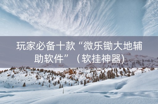 玩家必备十款“微乐锄大地辅助软件”（软挂神器)