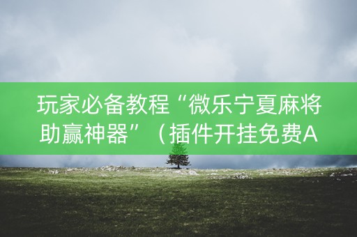 玩家必备教程“微乐宁夏麻将助赢神器”（插件开挂免费AI)