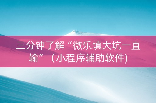 三分钟了解“微乐填大坑一直输”（小程序辅助软件)