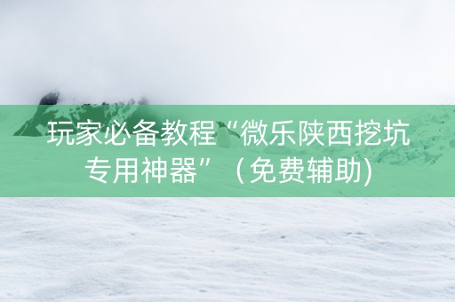 玩家必备教程“微乐陕西挖坑专用神器”（免费辅助)