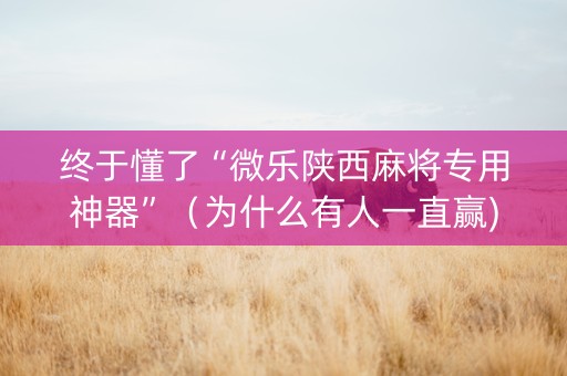 终于懂了“微乐陕西麻将专用神器”（为什么有人一直赢)