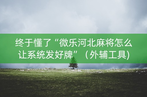 终于懂了“微乐河北麻将怎么让系统发好牌”（外辅工具)