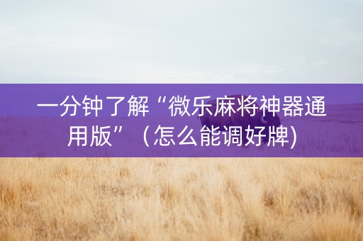 一分钟了解“微乐麻将神器通用版”（怎么能调好牌)