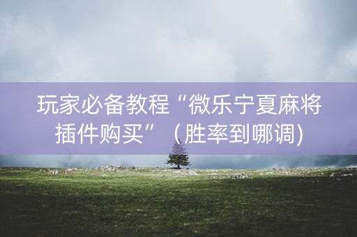 玩家必备教程“微乐宁夏麻将插件购买”（胜率到哪调)