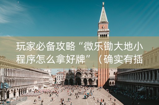 玩家必备攻略“微乐锄大地小程序怎么拿好牌”（确实有插件吗)