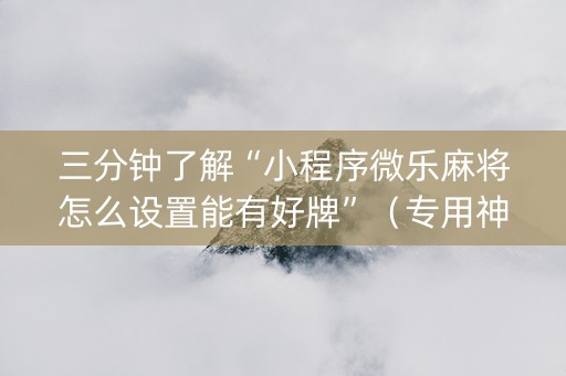 三分钟了解“小程序微乐麻将怎么设置能有好牌”（专用神器下载)