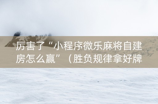 厉害了“小程序微乐麻将自建房怎么赢”（胜负规律拿好牌)