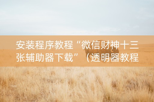 安装程序教程“微信财神十三张辅助器下载”（透明器教程)