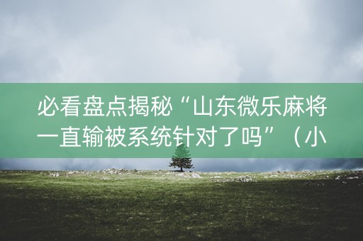 必看盘点揭秘“山东微乐麻将一直输被系统针对了吗”（小程序控牌器)