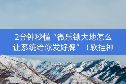 2分钟秒懂“微乐锄大地怎么让系统给你发好牌”（软挂神器)