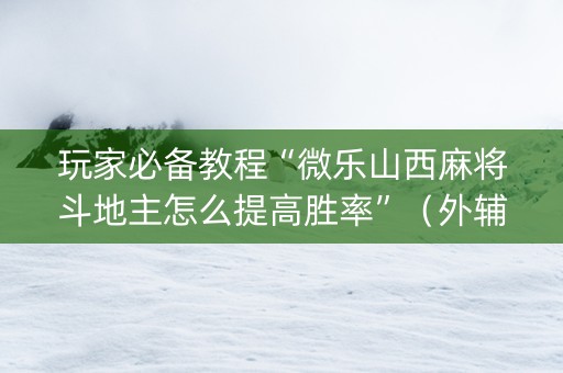 玩家必备教程“微乐山西麻将斗地主怎么提高胜率”（外辅工具)