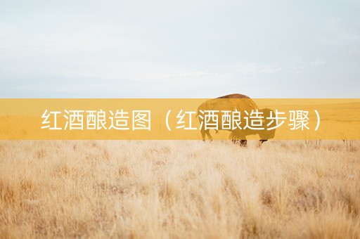 红酒酿造图（红酒酿造步骤）