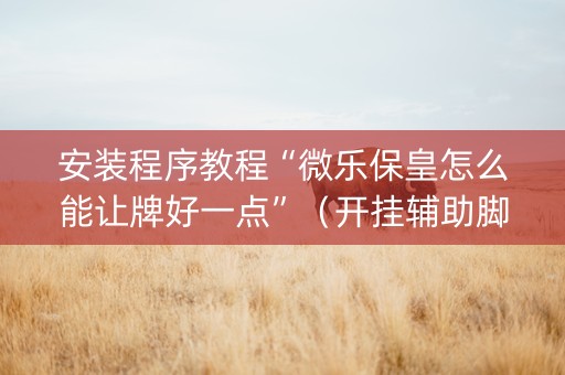 安装程序教程“微乐保皇怎么能让牌好一点”（开挂辅助脚本)