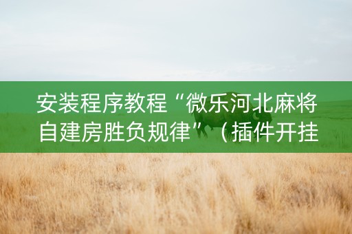 安装程序教程“微乐河北麻将自建房胜负规律”（插件开挂免费AI)