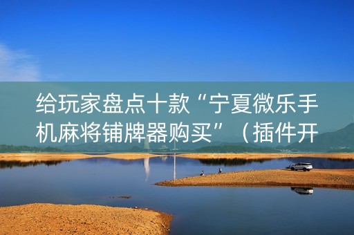 给玩家盘点十款“宁夏微乐手机麻将铺牌器购买”（插件开挂免费AI)