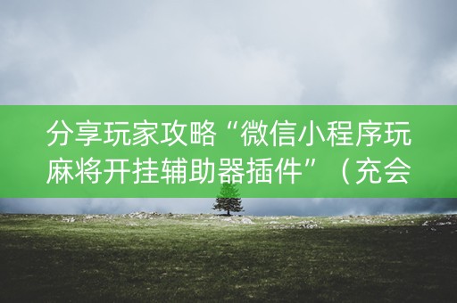 分享玩家攻略“微信小程序玩麻将开挂辅助器插件”（充会员胜率高)