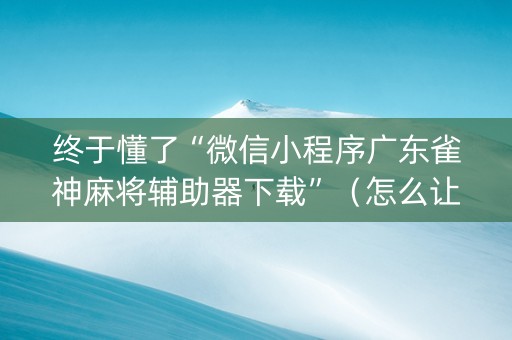 终于懂了“微信小程序广东雀神麻将辅助器下载”（怎么让系统给你发好牌)