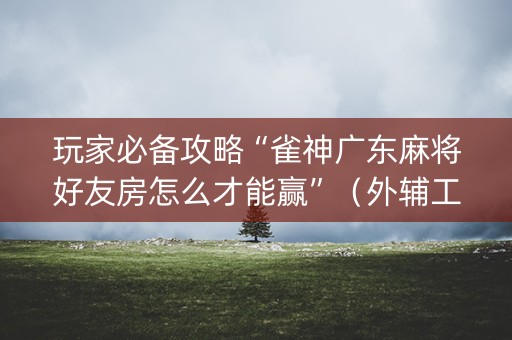 玩家必备攻略“雀神广东麻将好友房怎么才能赢”（外辅工具)