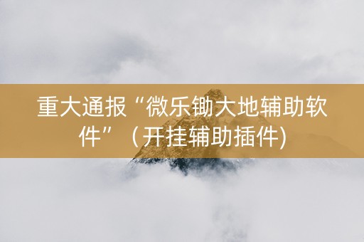 重大通报“微乐锄大地辅助软件”（开挂辅助插件)