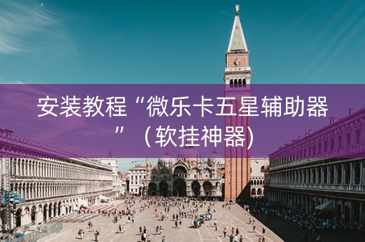 安装教程“微乐卡五星辅助器”（软挂神器)