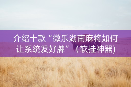 介绍十款“微乐湖南麻将如何让系统发好牌”（软挂神器)