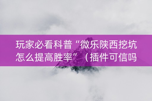玩家必看科普“微乐陕西挖坑怎么提高胜率”（插件可信吗)