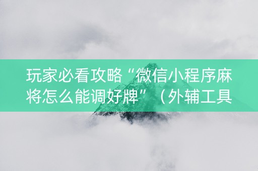 玩家必看攻略“微信小程序麻将怎么能调好牌”（外辅工具)