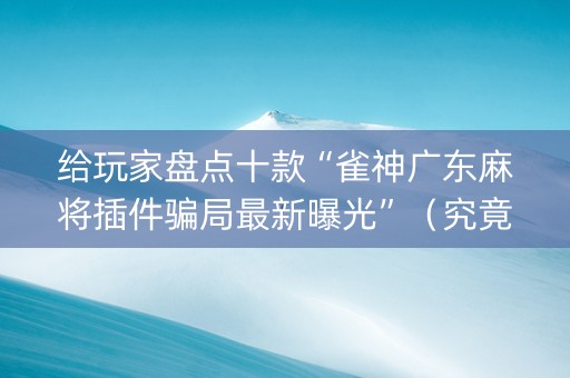 给玩家盘点十款“雀神广东麻将插件骗局最新曝光”（究竟是不是有挂)