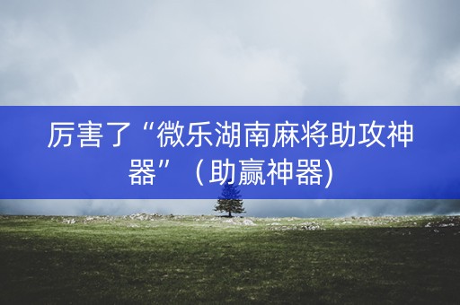 厉害了“微乐湖南麻将助攻神器”（助赢神器)