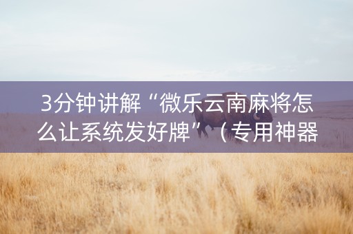 3分钟讲解“微乐云南麻将怎么让系统发好牌”（专用神器)