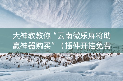 大神教教你“云南微乐麻将助赢神器购买”（插件开挂免费AI)