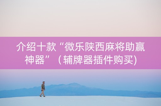 介绍十款“微乐陕西麻将助赢神器”（辅牌器插件购买)