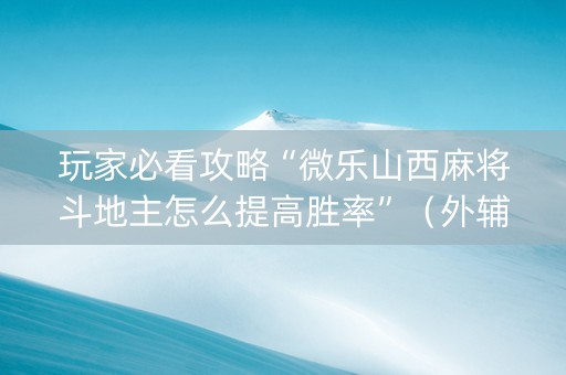 玩家必看攻略“微乐山西麻将斗地主怎么提高胜率”（外辅工具)