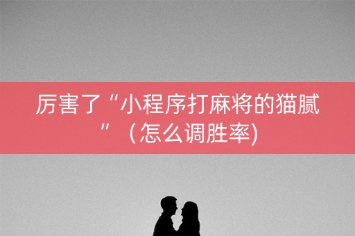 厉害了“小程序打麻将的猫腻”（怎么调胜率)