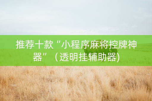 推荐十款“小程序麻将控牌神器”（透明挂辅助器)
