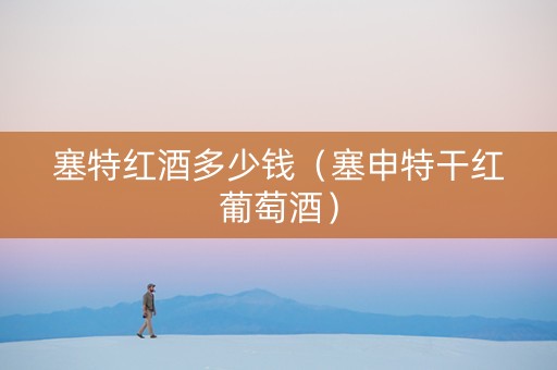 塞特红酒多少钱（塞申特干红葡萄酒）