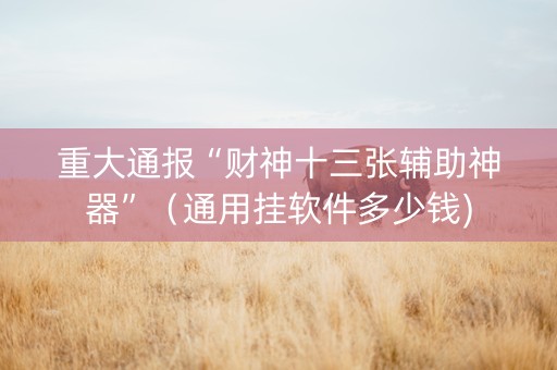 重大通报“财神十三张辅助神器”（通用挂软件多少钱)