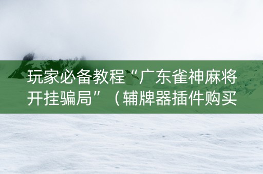 玩家必备教程“广东雀神麻将开挂骗局”（辅牌器插件购买)