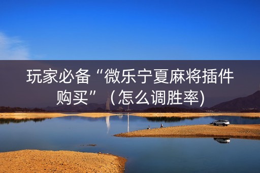玩家必备“微乐宁夏麻将插件购买”（怎么调胜率)