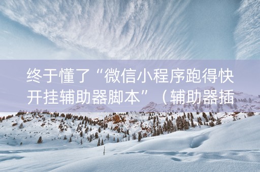 终于懂了“微信小程序跑得快开挂辅助器脚本”（辅助器插件)