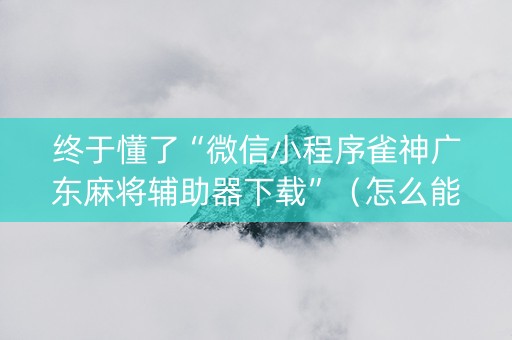 终于懂了“微信小程序雀神广东麻将辅助器下载”（怎么能得到好牌)