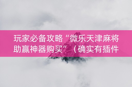 玩家必备攻略“微乐天津麻将助赢神器购买”（确实有插件吗)