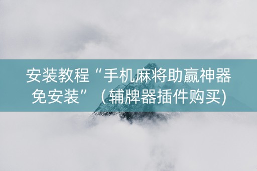 安装教程“手机麻将助赢神器免安装”（辅牌器插件购买)