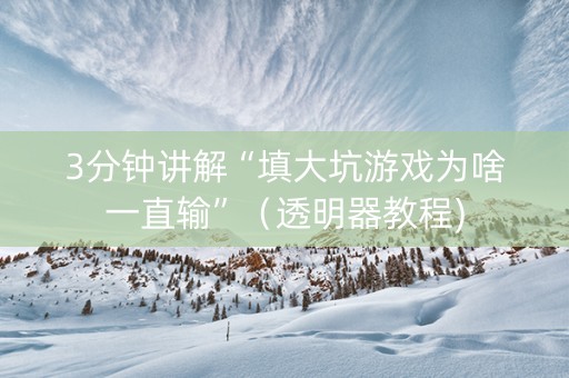 3分钟讲解“填大坑游戏为啥一直输”（透明器教程)