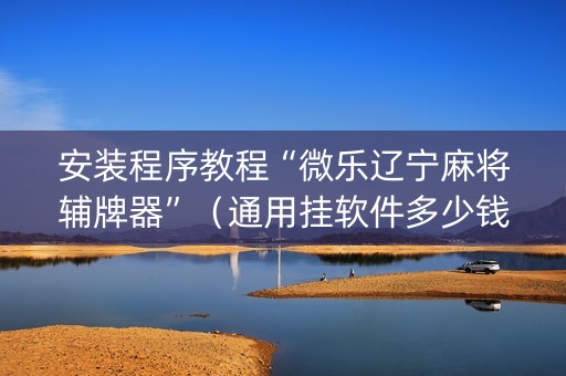 安装程序教程“微乐辽宁麻将辅牌器”（通用挂软件多少钱)