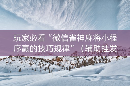 玩家必看“微信雀神麻将小程序赢的技巧规律”（辅助挂发牌规律)