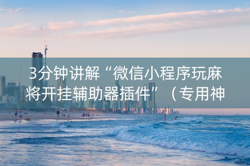 3分钟讲解“微信小程序玩麻将开挂辅助器插件”（专用神器下载)