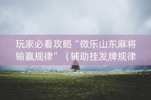玩家必看攻略“微乐山东麻将输赢规律”（辅助挂发牌规律)