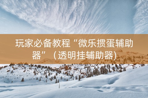 玩家必备教程“微乐掼蛋辅助器”（透明挂辅助器)