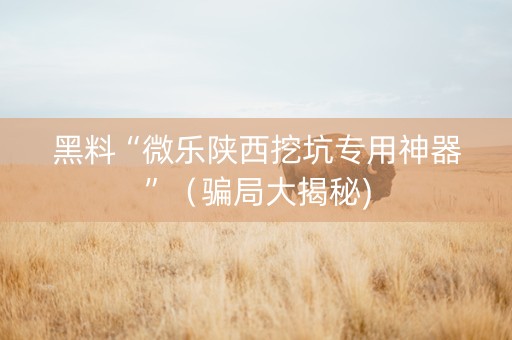 黑料“微乐陕西挖坑专用神器”（骗局大揭秘)